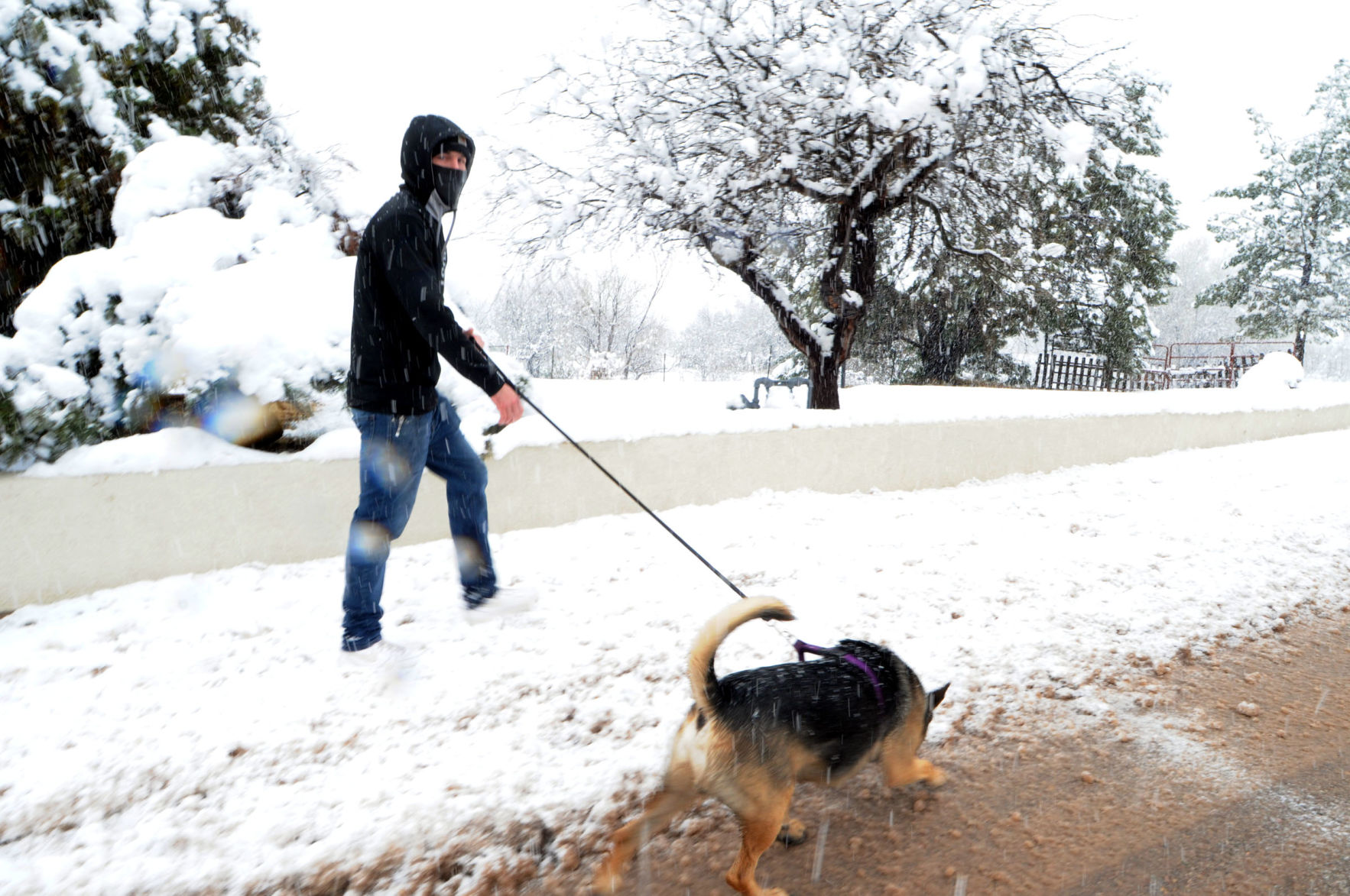 Snow in Santa Cruz County